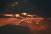 IIP Online Student Photography
